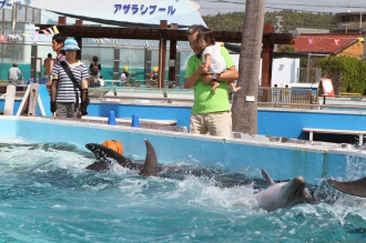 一緒にイルカを見に♪
