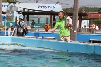 一緒にイルカを見に♪