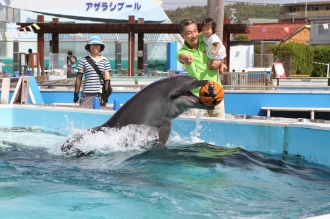 一緒にイルカを見に♪