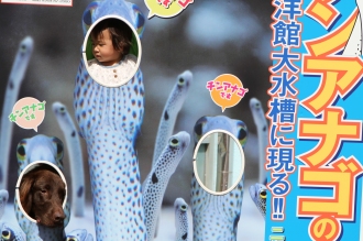 一緒にイルカを見に♪