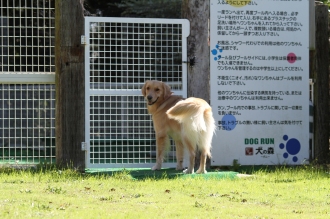 やっとこさ週末のワンコ♪