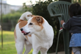 ゴニョゴニョ。。