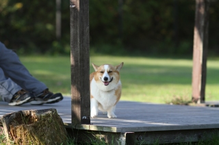 チッ。。