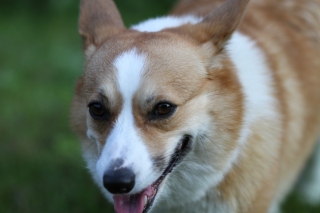 チッ。。
