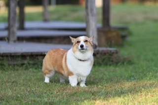 チッ。。