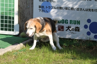 チラッ♪