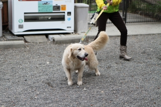 貸し切りだった土曜日♪