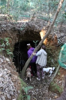 フライボールと八墓村。。