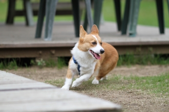 陸上部の季節。。