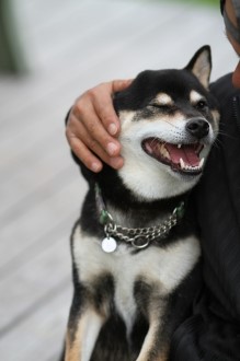 陸上部の季節。。