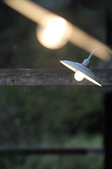 制する?