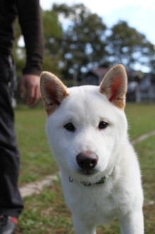 秋真っ盛りですが・・・