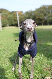 少し大人な♪