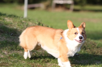 あっちむいて。。。