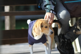 やろうってのか??