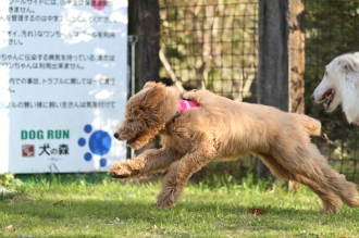 やろうってのか??