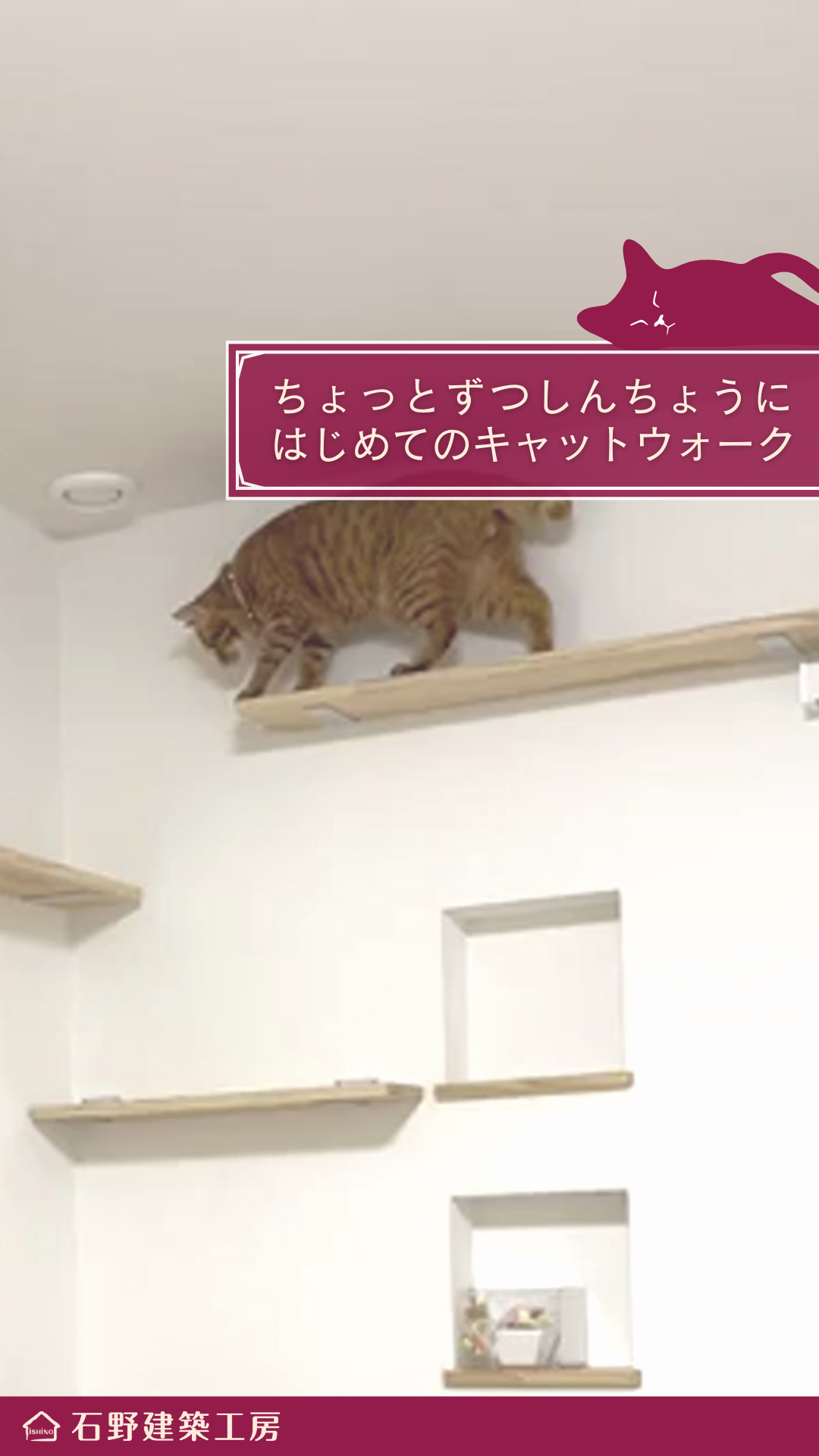 【Youtube】 キャットウォークのある家 【施工事例】 【Youtube】 キャットウォークのある家 【施工事例】