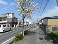 曳馬野駅跡→