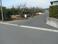 都田口→
