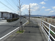 旧細江町の桜ヶ丘