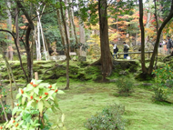 西明寺