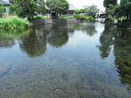 よしま池