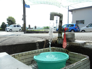 水年貢の湧き水