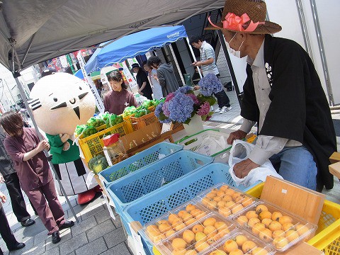 家康くん モール街軽トラ市出陣!!