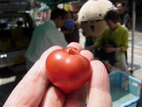 家康くん モール街軽トラ市出陣!!