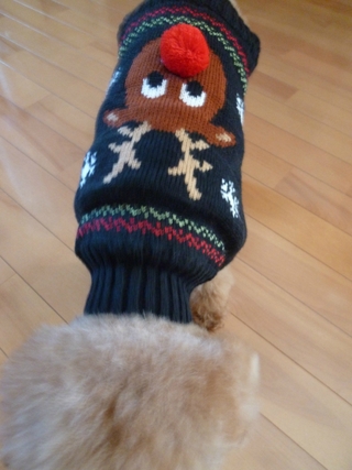 ついに彼女も Ugly Sweater デビューだぞ。 ついに彼女も Ugly Sweater デビューだぞ。