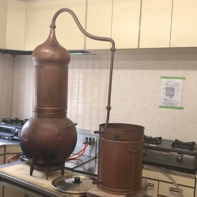 痛ーい打ち身にはラベンダー 痛ーい打ち身にはラベンダー