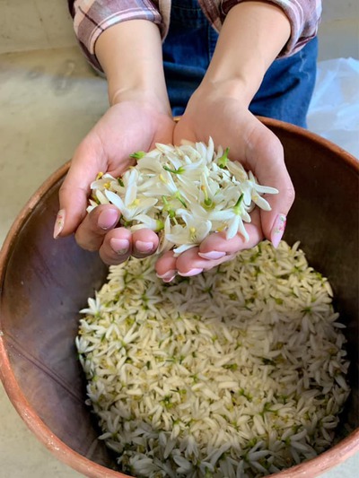 練り香を作りましょう! 練り香を作りましょう!