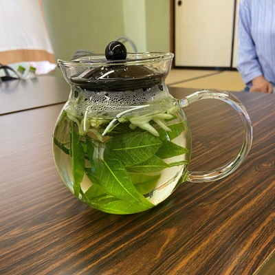 三ヶ日みかんの花摘み&蒸留体験について 三ヶ日みかんの花摘み&蒸留体験について