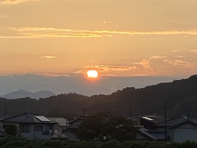 今朝のお散歩はパチュリーの香り 今朝のお散歩はパチュリーの香り