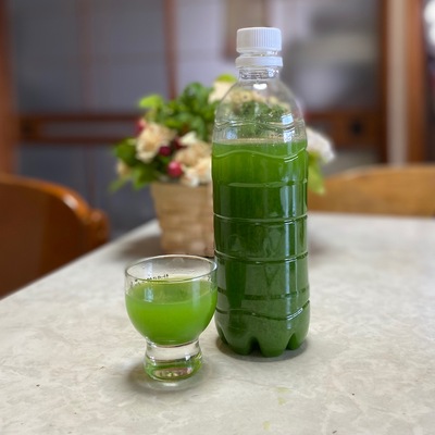 松葉のワークショップ開催します 松葉のワークショップ開催します