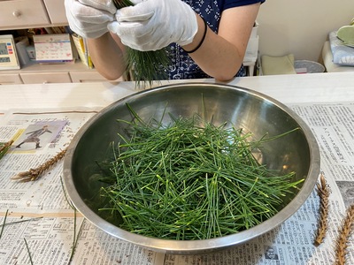 身近な植物で免疫力アップ! 身近な植物で免疫力アップ!