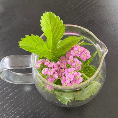 アロマで虫よけスプレー アロマで虫よけスプレー