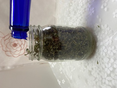 タイムのティンクチャーを作りました タイムのティンクチャーを作りました