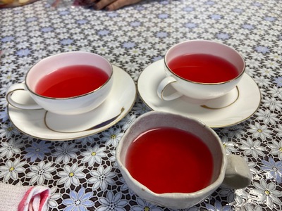 ローゼルの醗酵ドリンク作りました ローゼルの醗酵ドリンク作りました