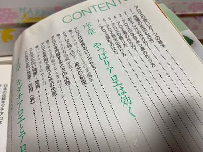 只今アロエ増殖中 只今アロエ増殖中