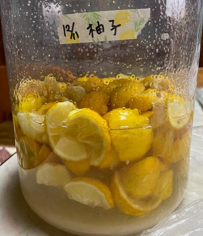 お気に入り醗酵ドリンク BEST5発表! お気に入り醗酵ドリンク BEST5発表!