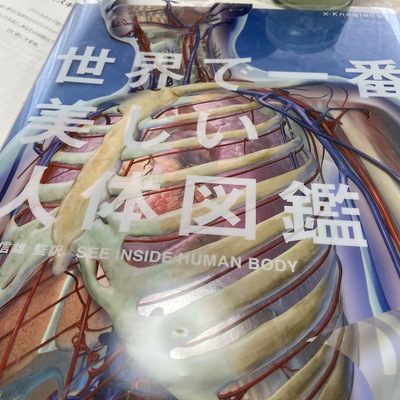 アロマコーディネーター養成講座 Lesson5 アロマコーディネーター養成講座 Lesson5