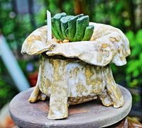 多肉植物　ハオルチア玉扇の花翠異形陶芸鉢植え