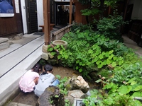 お盆休み お盆休み