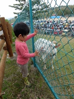 元気村 元気村