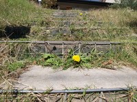 秋の入野の家