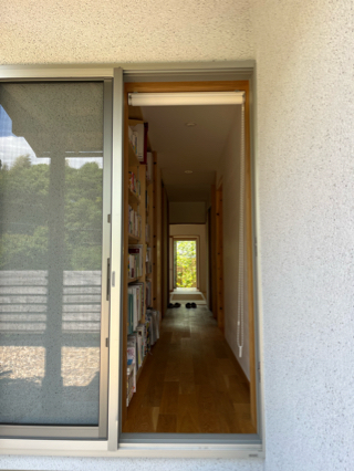 庭の完成 庭の完成