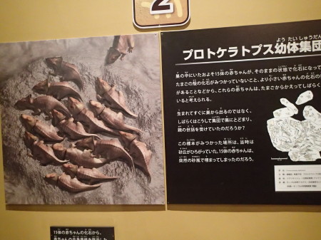 モンゴル大恐竜展　＠名古屋