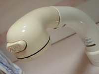 洗面台のシャワーヘッド交換DIY。　タカラスタンダード（KVK製でした）
