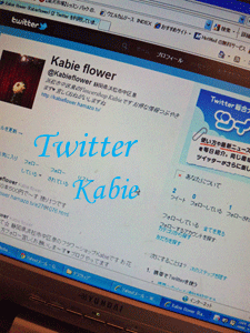 twitter始めました☆